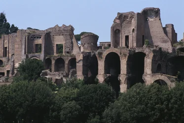View of the Palatine from the Circus Maximus